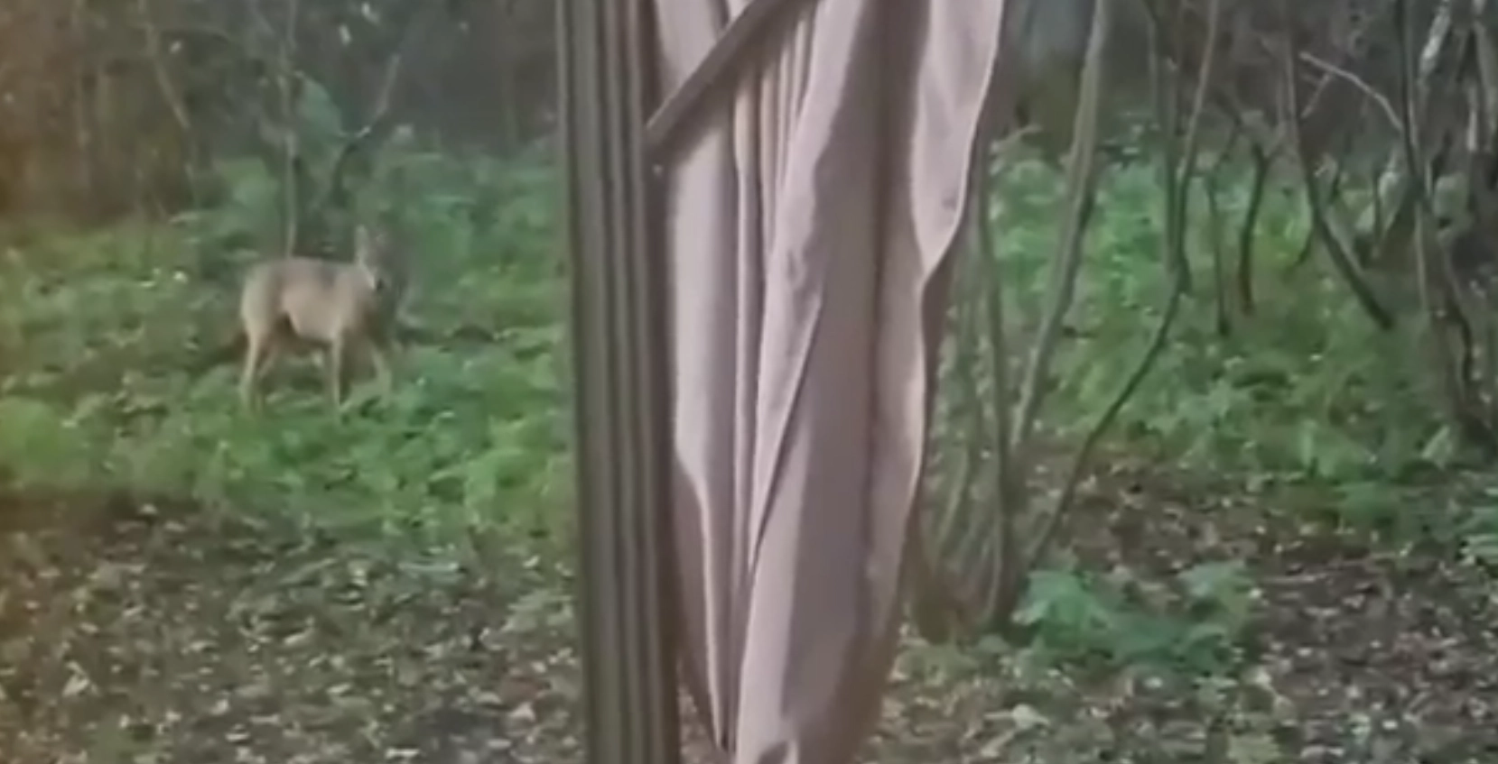 hunt hoovis