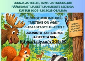 Kutsume noori osalema joonistuskonkurssil “Metsas on äge”