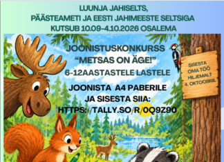 Kutsume noori osalema joonistuskonkurssil “Metsas on äge”