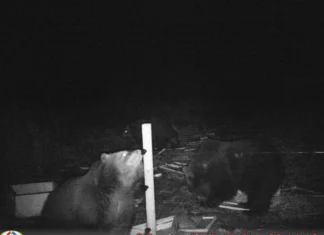 EJS-i arvamus: karujahti ei saa juhtida kohtusaalist