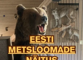 Tartus saab külastada metsloomade näitust