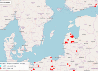 Eesti jäi läinud nädalal sigade Aafrika katkust puutumata